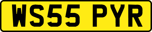 WS55PYR