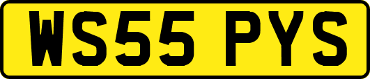 WS55PYS