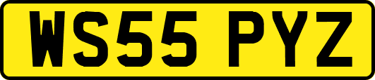 WS55PYZ