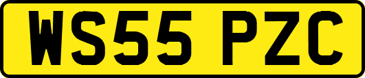 WS55PZC