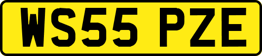 WS55PZE