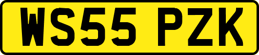 WS55PZK