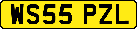 WS55PZL