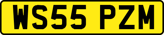 WS55PZM