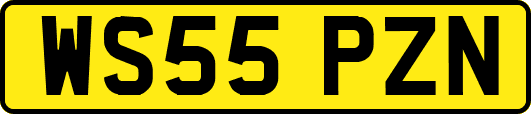 WS55PZN