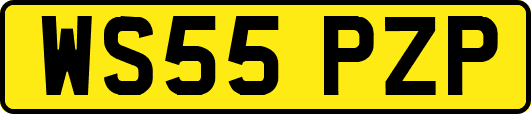 WS55PZP