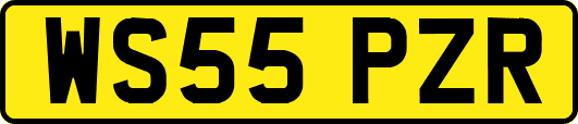 WS55PZR