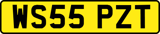 WS55PZT