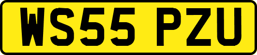 WS55PZU