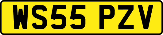 WS55PZV