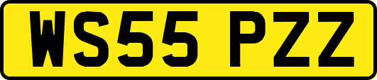 WS55PZZ