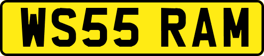 WS55RAM