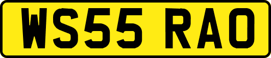 WS55RAO