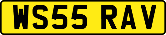 WS55RAV