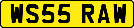 WS55RAW