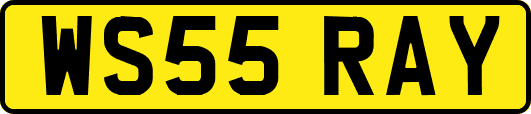 WS55RAY