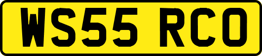 WS55RCO