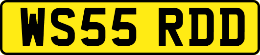 WS55RDD
