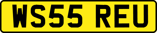 WS55REU