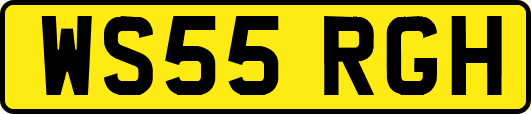 WS55RGH