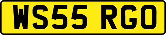 WS55RGO