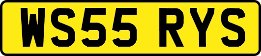 WS55RYS