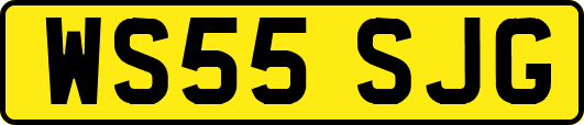 WS55SJG