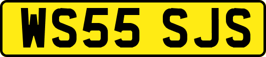 WS55SJS