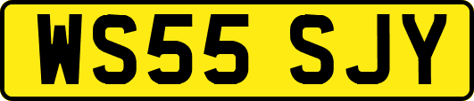 WS55SJY