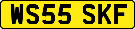 WS55SKF