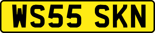 WS55SKN