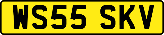 WS55SKV