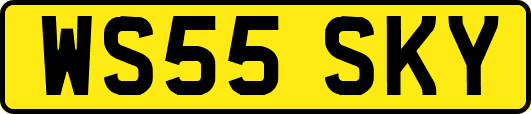 WS55SKY