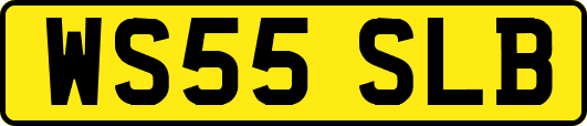 WS55SLB