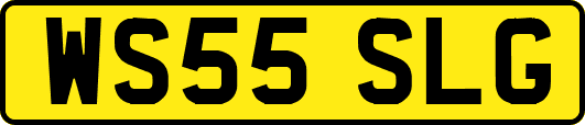 WS55SLG