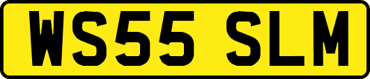 WS55SLM