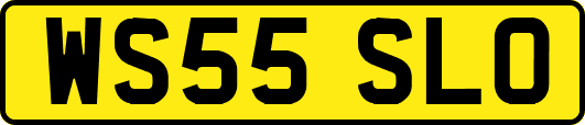 WS55SLO