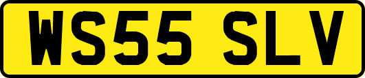 WS55SLV