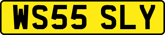 WS55SLY