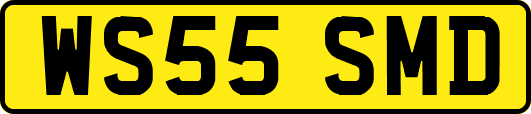 WS55SMD
