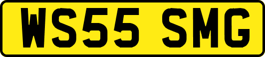 WS55SMG