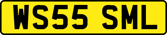 WS55SML