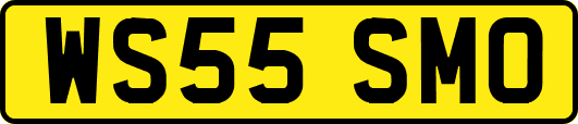 WS55SMO
