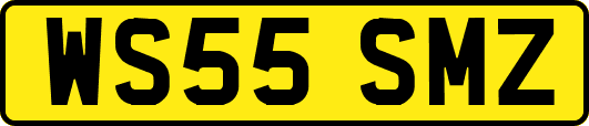 WS55SMZ