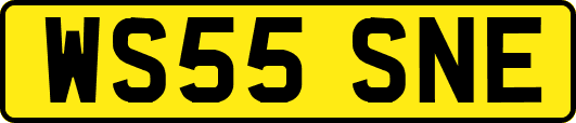 WS55SNE