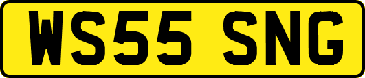 WS55SNG