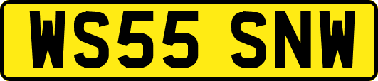 WS55SNW