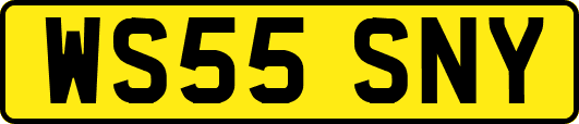 WS55SNY