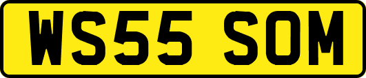 WS55SOM