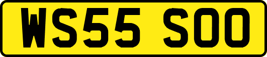 WS55SOO
